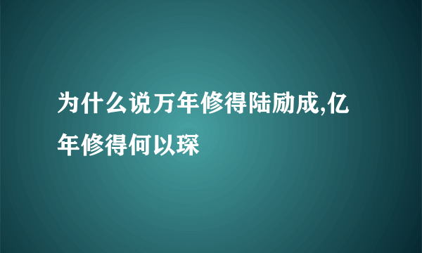 为什么说万年修得陆励成,亿年修得何以琛